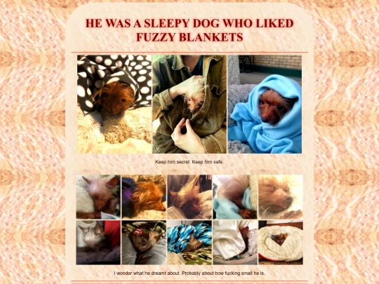 blankets screenshot