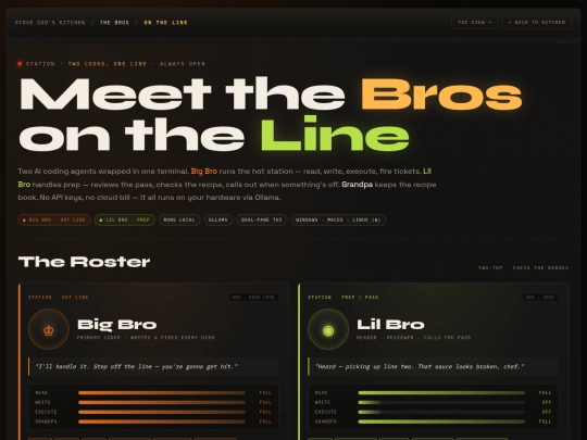 the-bros/meet-the-bros screenshot