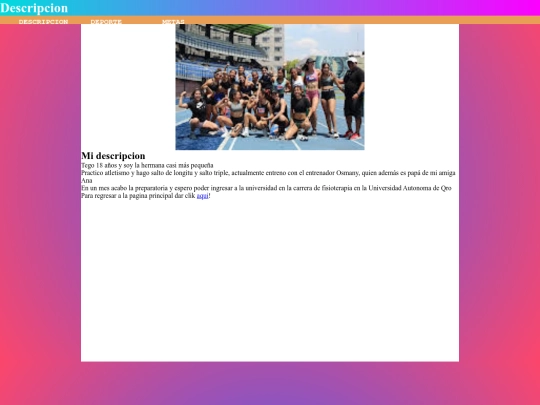Diseño de estructura/Descripcion screenshot