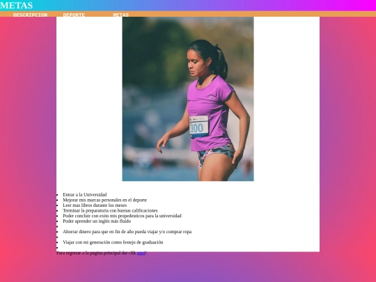 Diseño de estructura/metas screenshot