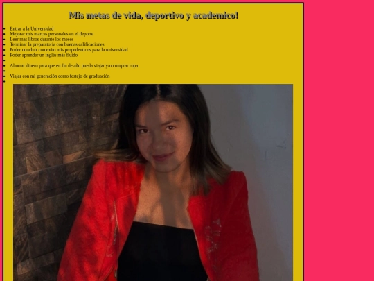 pra/metas.css screenshot