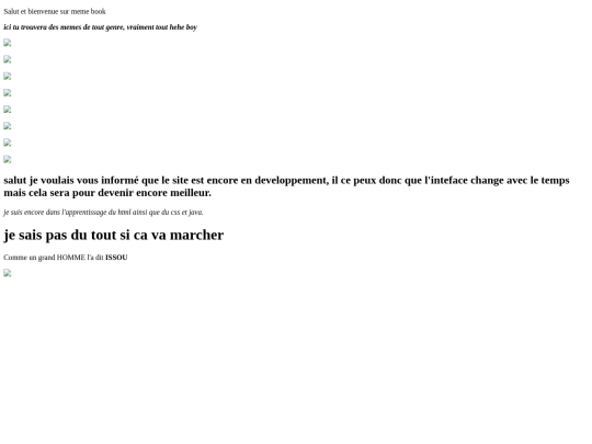meme_site screenshot