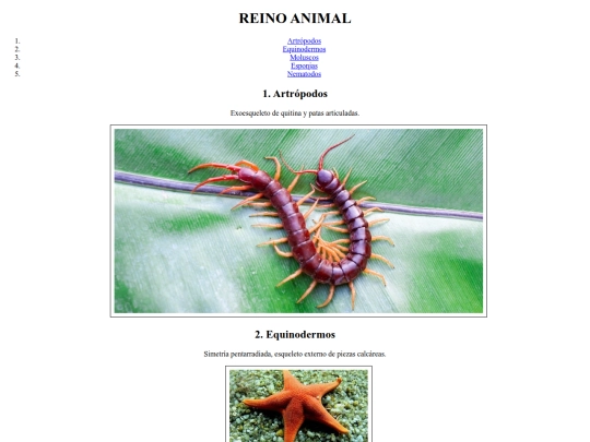 Clase 03 - 05/vinculos/moluscos screenshot