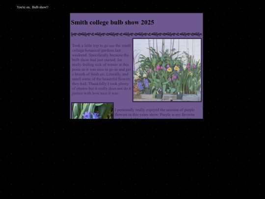 Bulbshow screenshot