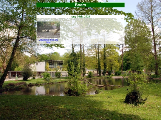 boars screenshot