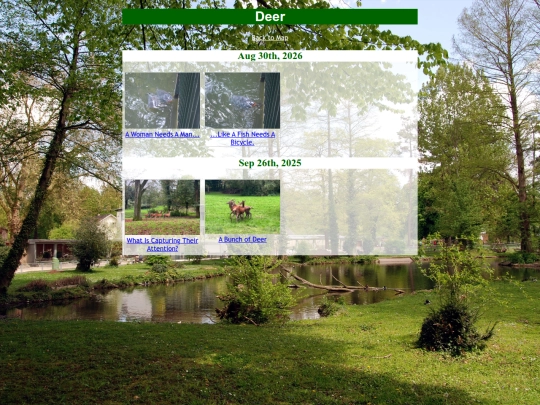 deer screenshot