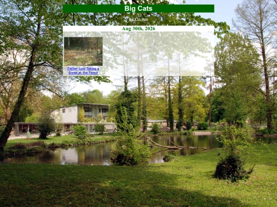 lynx screenshot