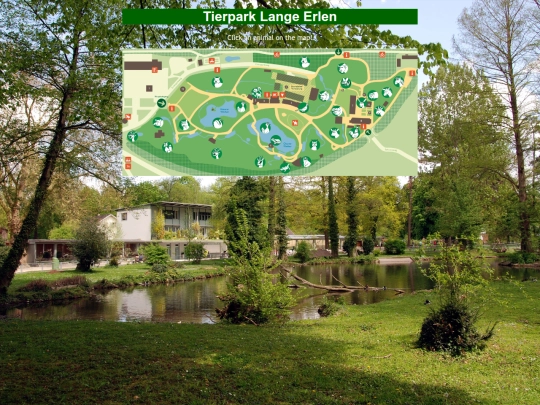 tierpark screenshot