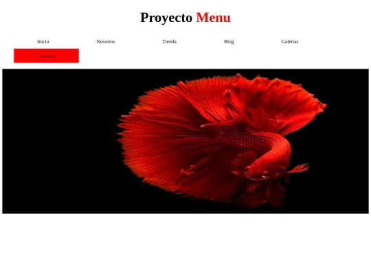 menu/contacto screenshot