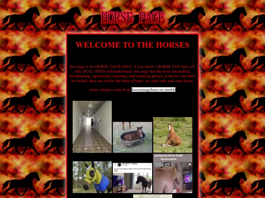 horse screenshot