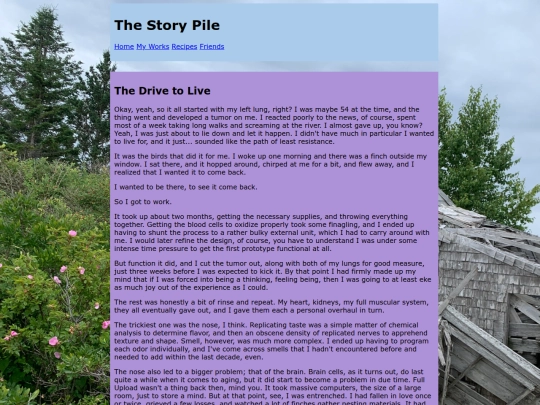 drivetolive screenshot