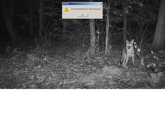 not_found screenshot