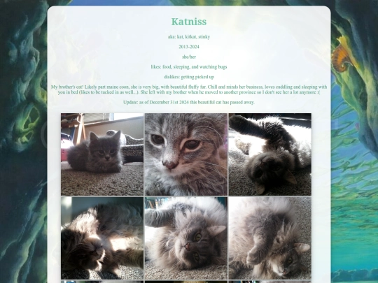 pets/katniss screenshot