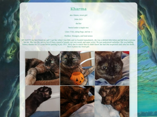 pets/kharma screenshot