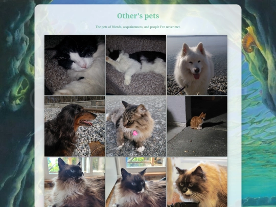 pets/others-pets screenshot