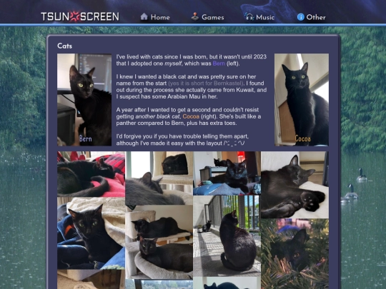 other screenshot