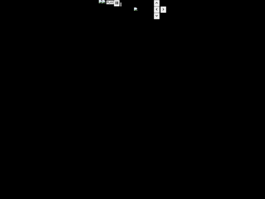 pacman screenshot