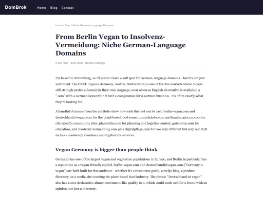 blog/german-niche-domain-names screenshot