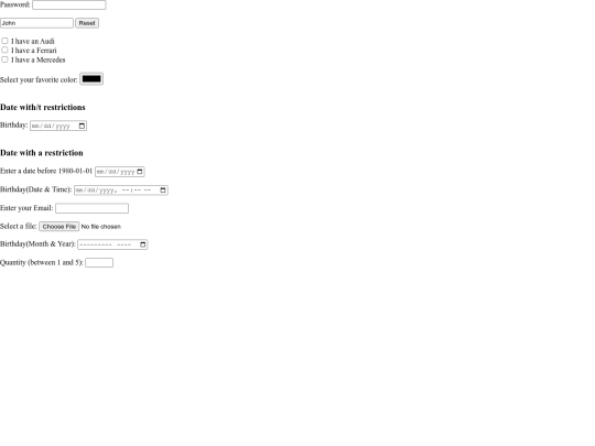 test/html input screenshot