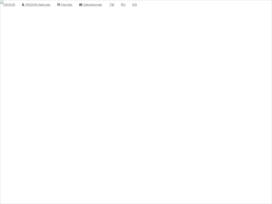 okgun screenshot