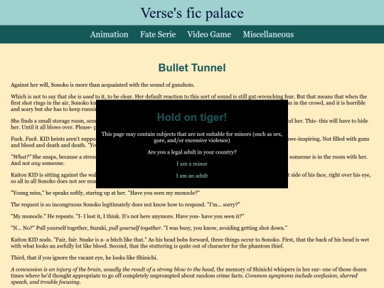 fics/20251102-DCMK-bullet-tunnel screenshot