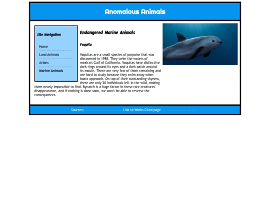 index-4 screenshot