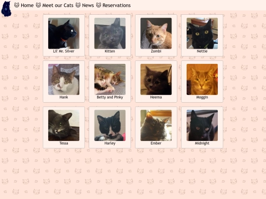 cats screenshot