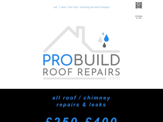 Roof-RepairZb5 screenshot