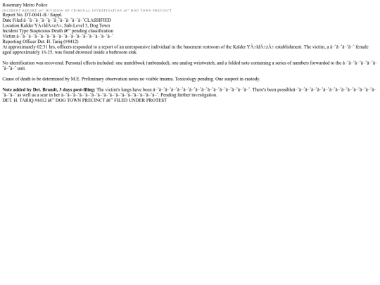 docs/police-report screenshot