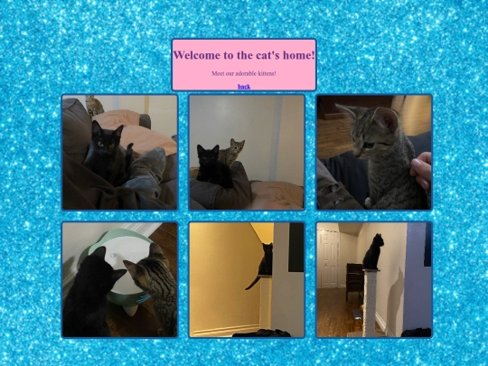 kitties screenshot