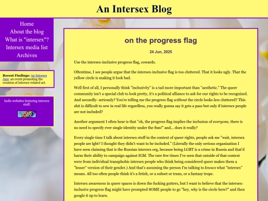 posts/2025-06-24-on-the-progress-flag screenshot