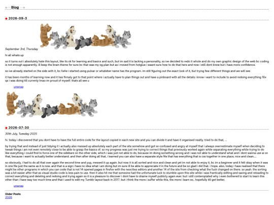 blog screenshot