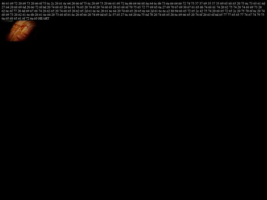 spooky shit/4845544f4f4b5553 screenshot