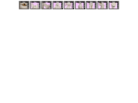 Fur_Outfits/ArcticFox screenshot