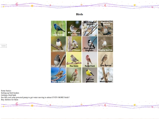 birdwatching screenshot