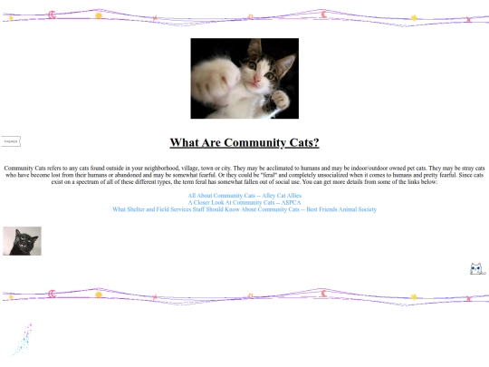 cats screenshot