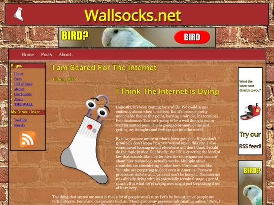 posts/2025-08-18-I-am-Scared-For-The-Internet screenshot