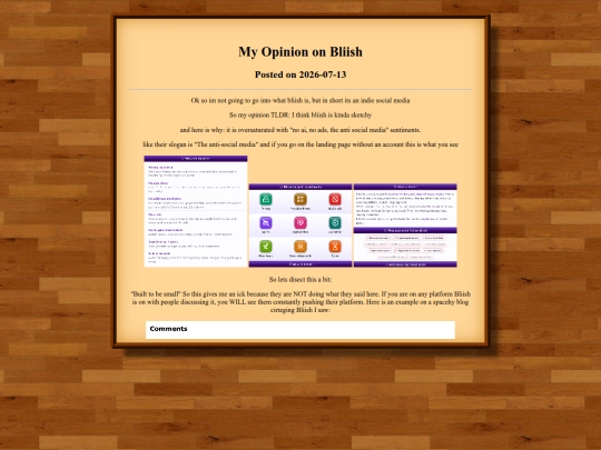 blog/posts/my-opinion-on-bliish screenshot