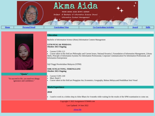 Curriculum Vitae screenshot
