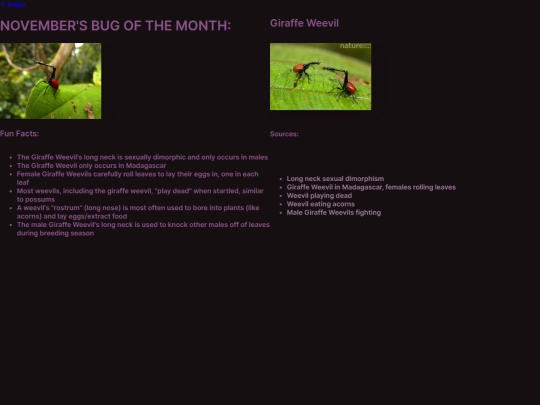 former_botm/nov25_botm screenshot