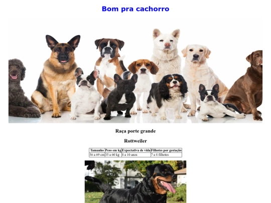 Bom pra Cachorro/xxx screenshot