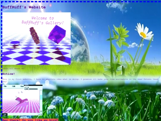 copy_index screenshot