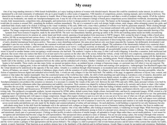 essay screenshot