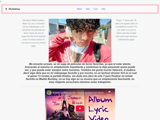 paginas/Siio screenshot