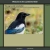Lyrebird Home avatar
