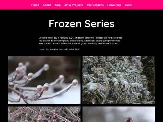 subpage/proj/photo-frozen screenshot