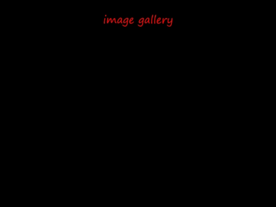 imagegallery screenshot