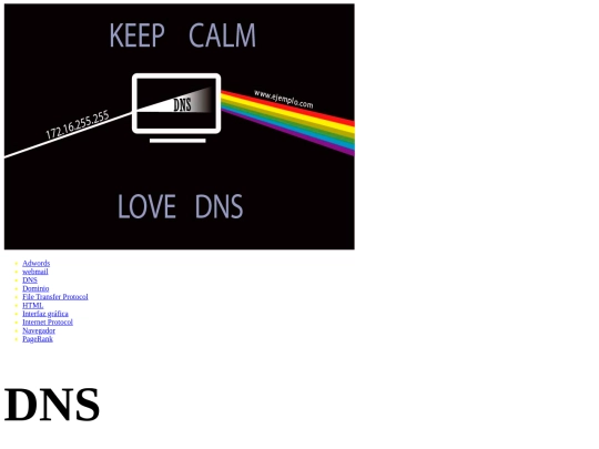 01/dns screenshot