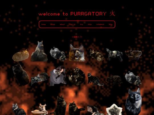 pages/purrgatory screenshot