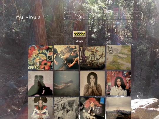 pages/vinyl screenshot